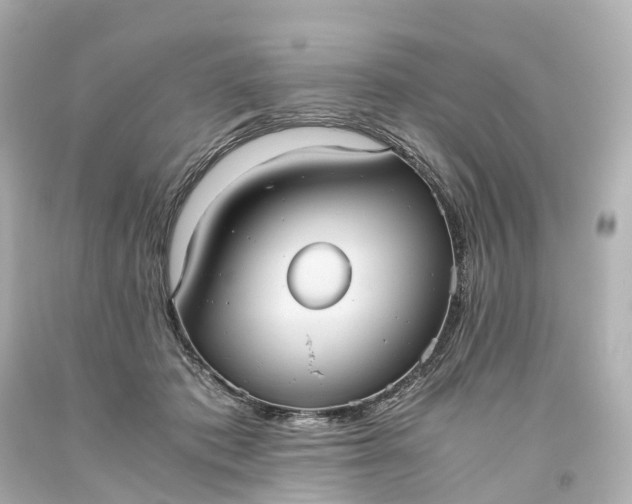 X0000093610413200710291210