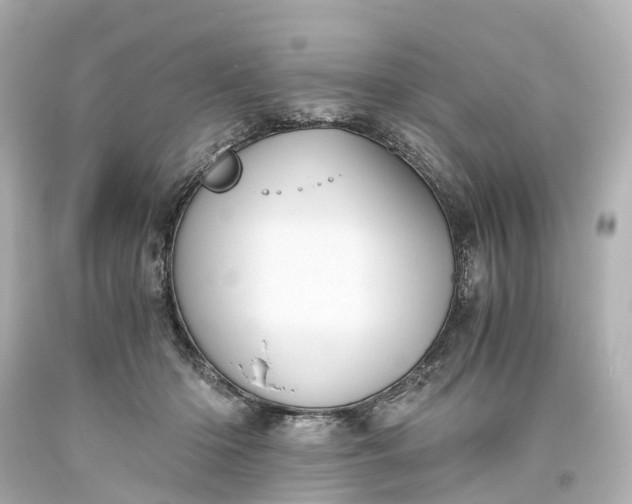 X0000093610414200710291210