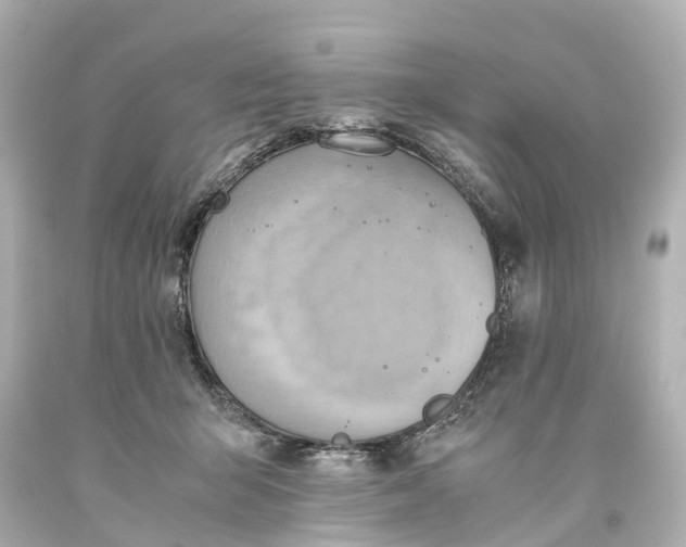 X0000093610415200710291210