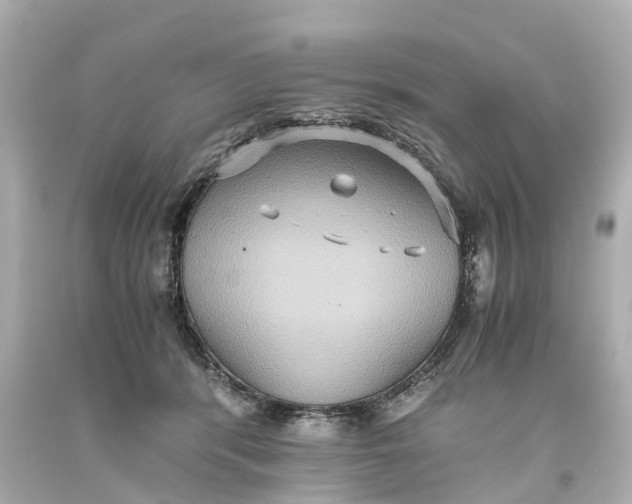 X0000093610416200710291210