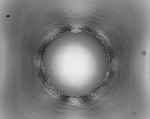 X0000093610417200710291210