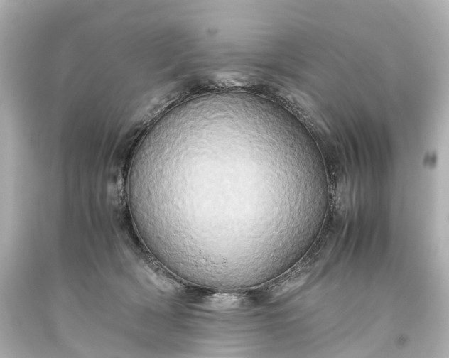 X0000093610418200710291210