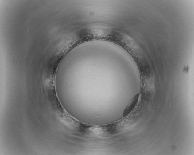 X0000093610419200710291210