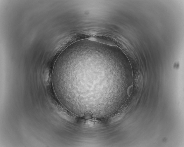 X0000093610420200710291210