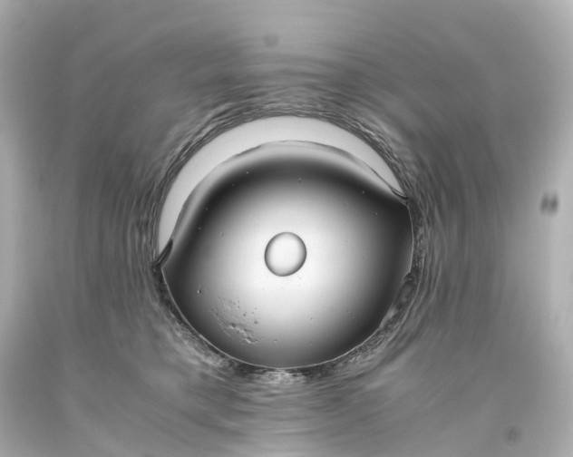 X0000093610421200710291210