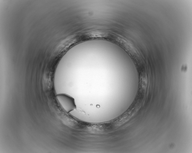 X0000093610422200710291210