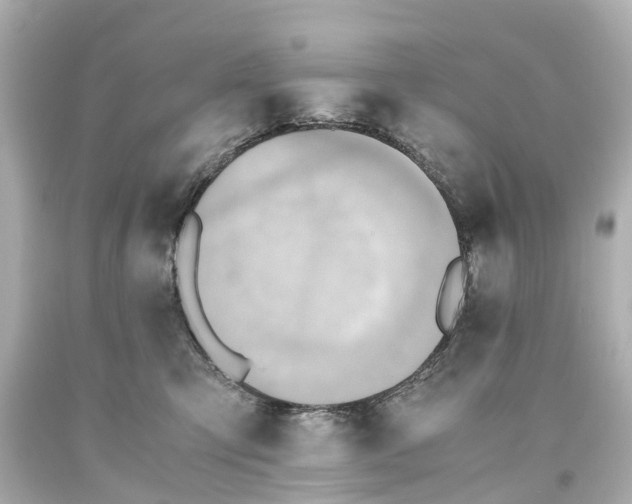 X0000093610423200710291209