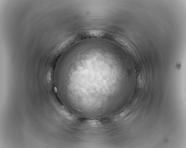 X0000093610424200710291209