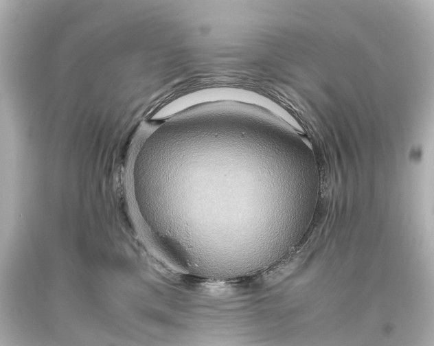 X0000093610425200710291209
