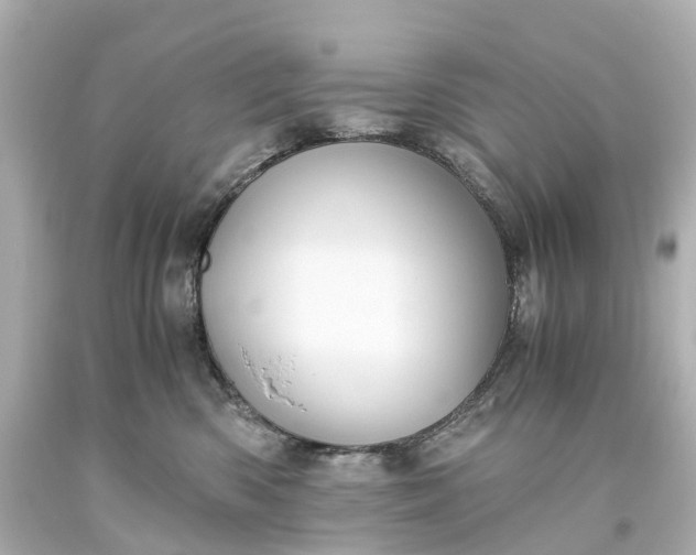 X0000093610426200710291209