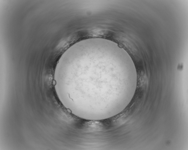 X0000093610427200710291209