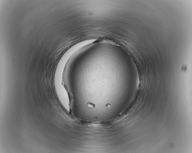 X0000093610428200710291209