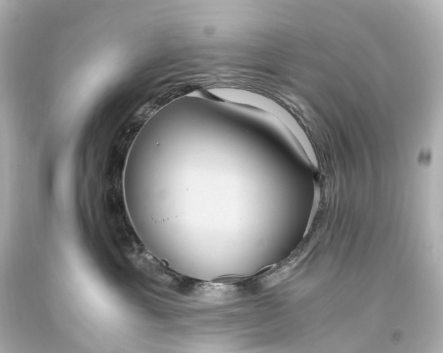 X0000093610429200710291209
