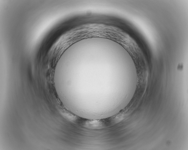 X0000093610431200710291209
