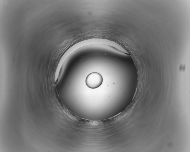 X0000093610432200710291209