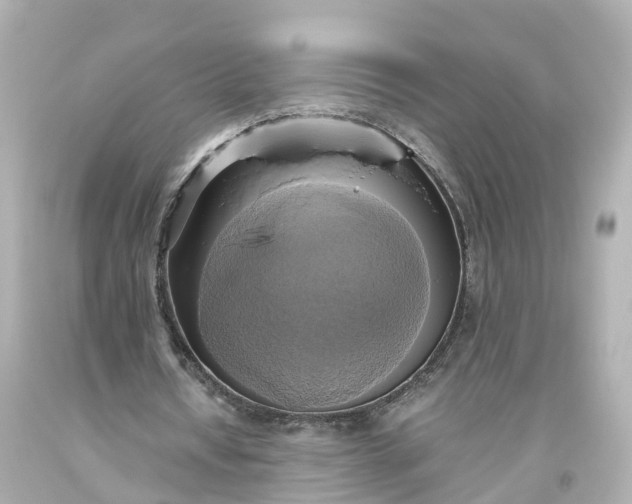 X0000093610434200710291209