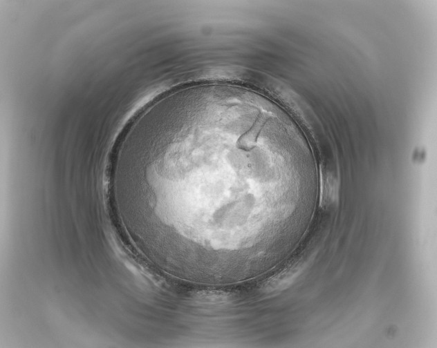 X0000093610435200710291209