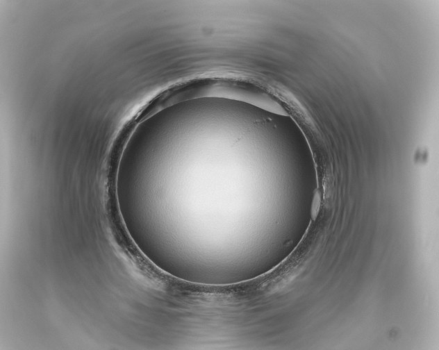 X0000093610436200710291209