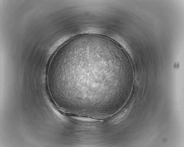 X0000093610437200710291209