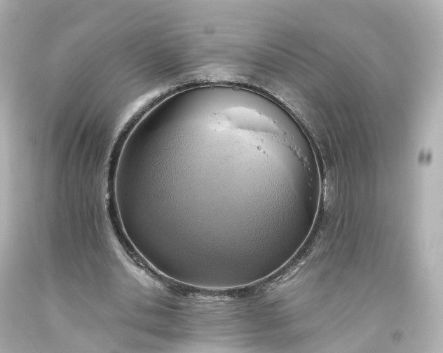 X0000093610438200710291209