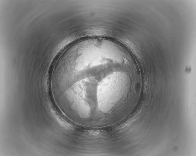 X0000093610439200710291209