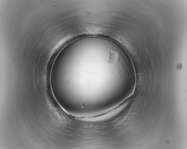 X0000093610440200710291209