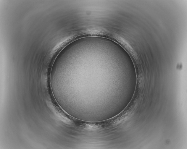 X0000093610442200710291209