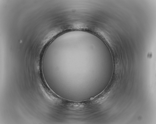 X0000093610443200710291209