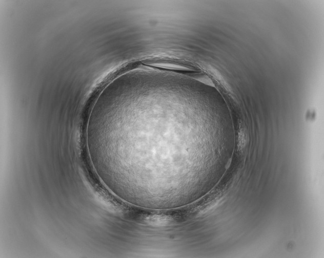 X0000093610444200710291209