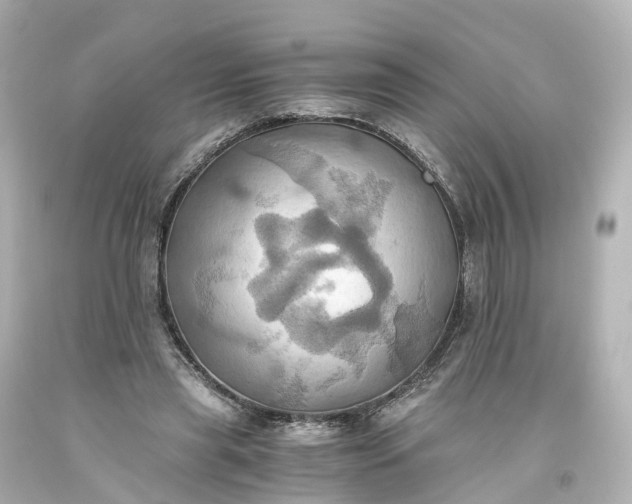 X0000093610445200710291209