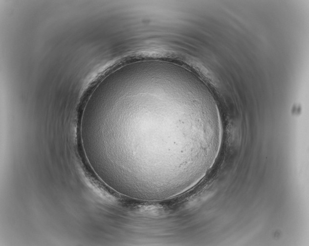 X0000093610446200710291209