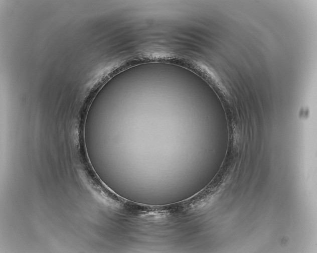 X0000093610447200710291209