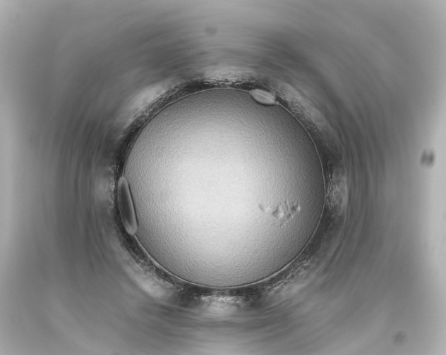 X0000093610448200710291209