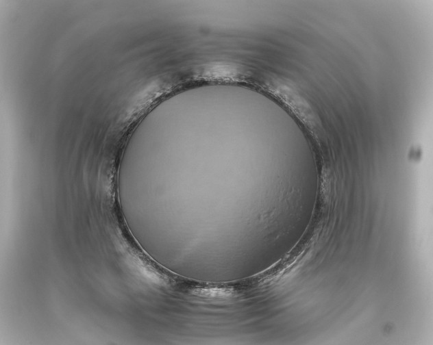 X0000093610449200710291209