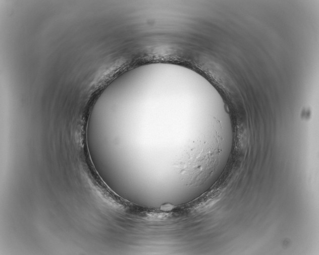 X0000093610450200710291209