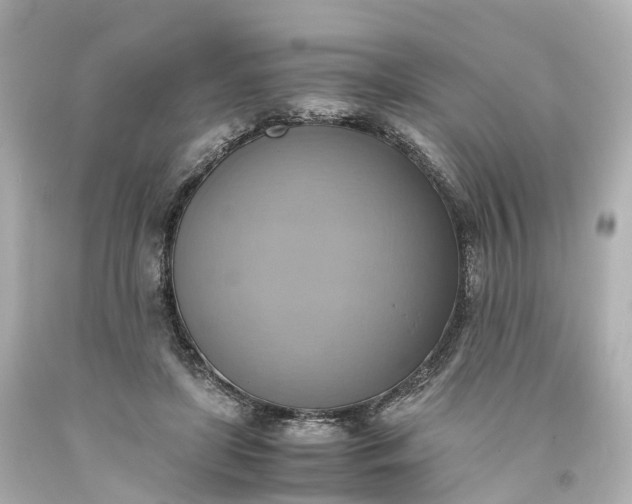 X0000093610451200710291209