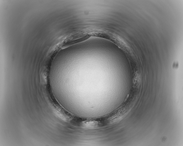 X0000093610452200710291209