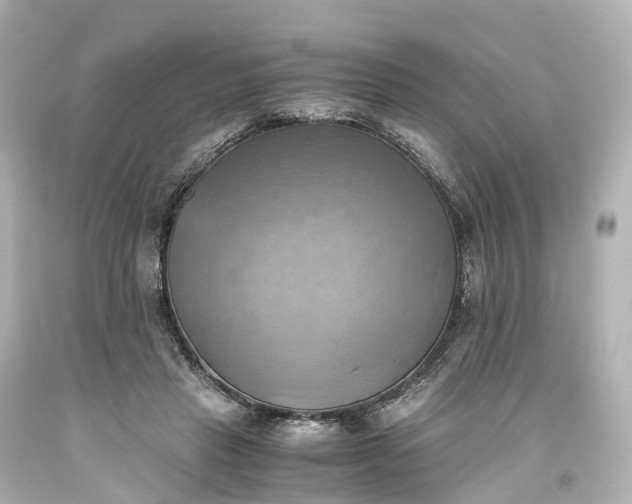 X0000093610453200710291209