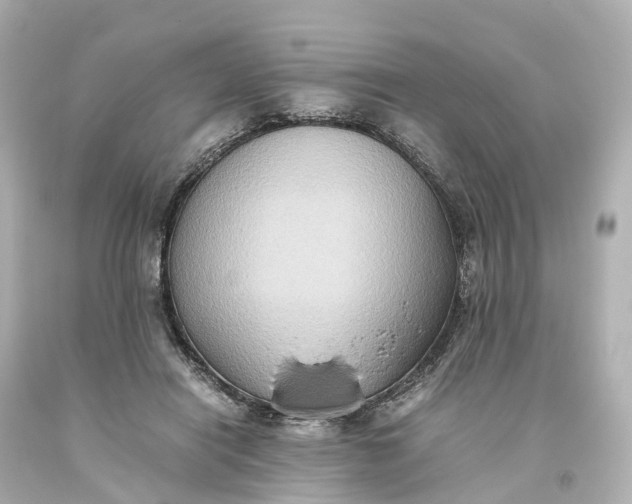 X0000093610454200710291209