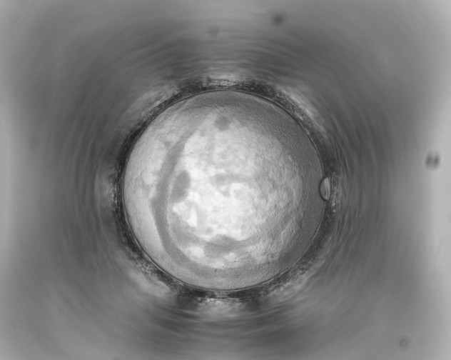 X0000093610455200710291209