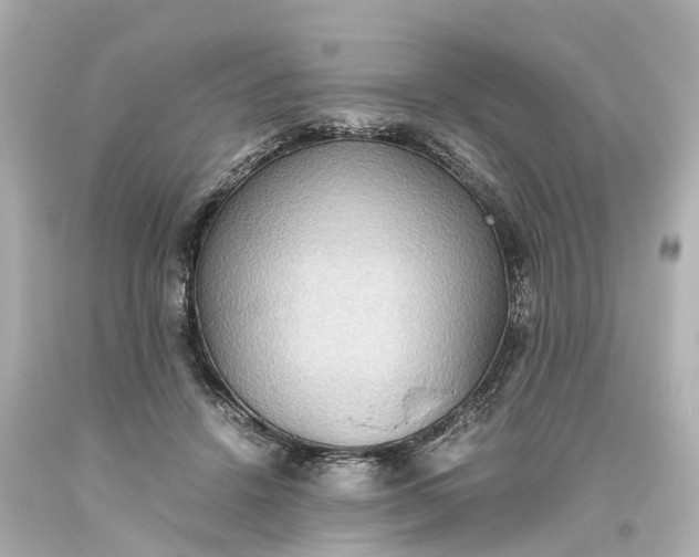 X0000093610456200710291209