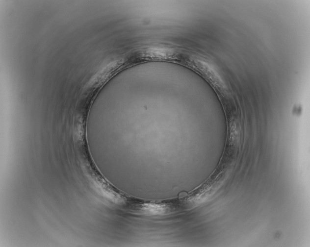 X0000093610457200710291209