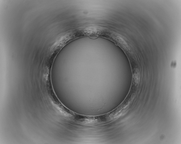 X0000093610458200710291209