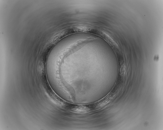 X0000093610459200710291209