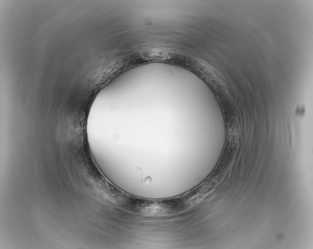 X0000093610460200710291209
