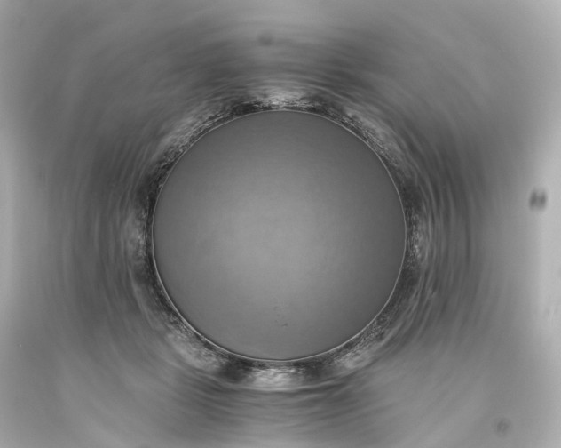 X0000093610461200710291209