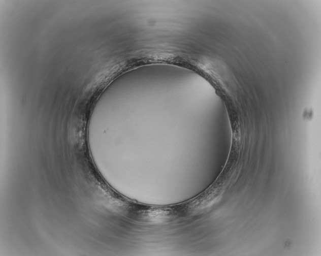X0000093610462200710291209