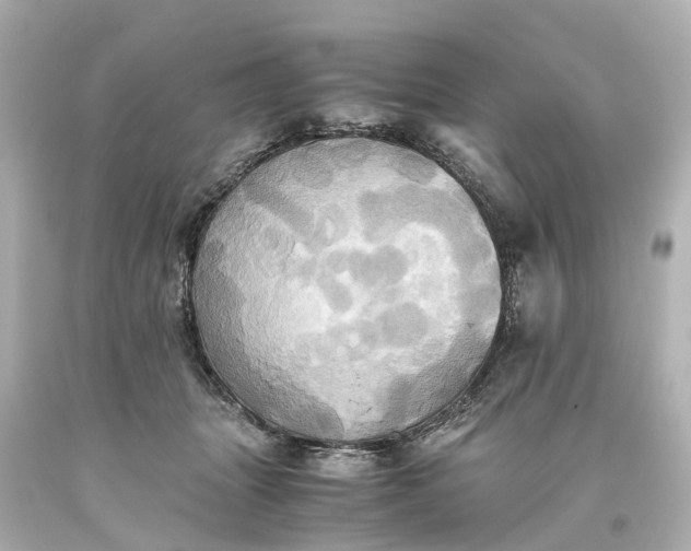 X0000093610463200710291209