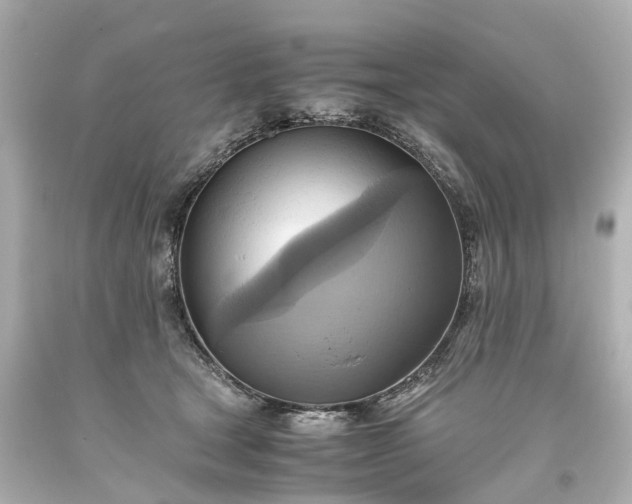 X0000093610465200710291209