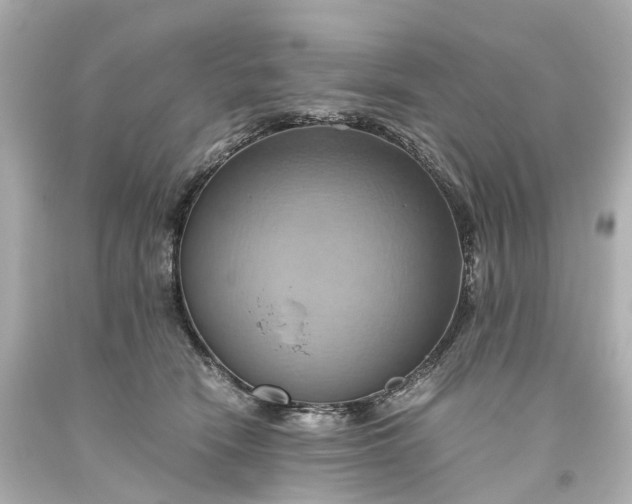 X0000093610466200710291209
